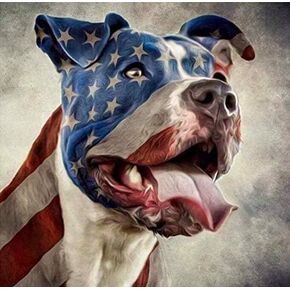 DIY 5D Pitbull Diamond Painting Kits for Adults Kids USA Flag Full Drill Embroidery Paintings Rhinestone Pasted Dog Animals Painting Cross Stitch Arts Crafts for Home Wall Decor（12x12inch） in Kuwait
