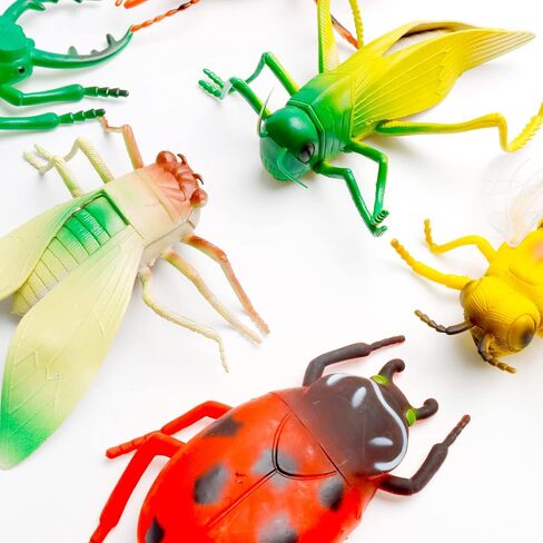 مجموعة مجسمات حشرات كبيرة من ايدينيدز مكونة من 6 قطع بتصميم خنفساء واقعية، نموذج حشرات خنفساء مقلد لحفلات اعياد الميلاد والهالوين، مقاس L in Kuwait