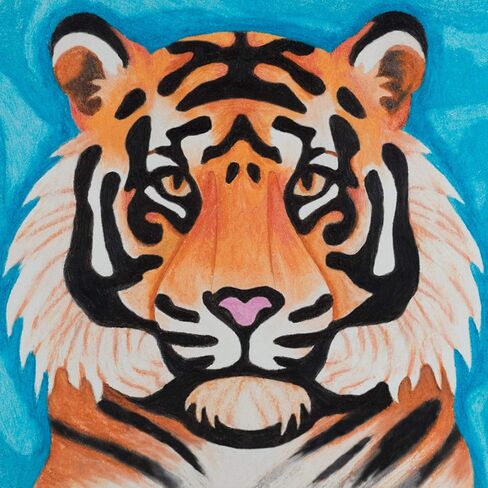 تشكيلة نظام الإبداع هاي ديف من أو آر بي in Kuwait