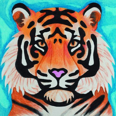 تشكيلة نظام الإبداع هاي ديف من أو آر بي in Kuwait