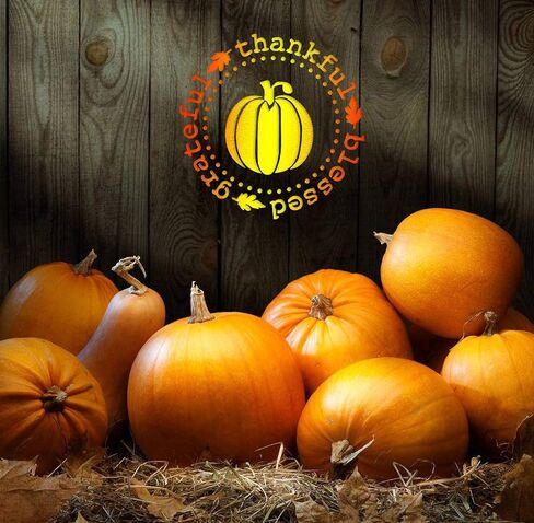 9 قطع من استنسل الكريسماس للرسم على الخشب 12 انش قابل لاعادة الاستخدام لبلاط الارضيات لديكور الكريسماس والقماش والجدران، 6 قطع استنسل للخريف وعيد الشكر 12×12 انش QMB01-6 in Kuwait