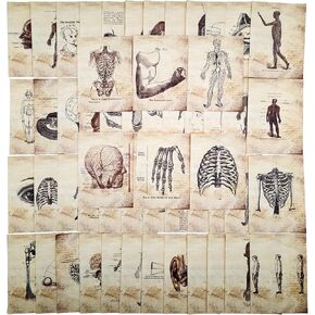 Vilikya Dark Academia Junk Journal Supplies, 54 Sheets Vintage Skull Scrapbook Paper for Scrapbook Kit, Hospital Theme Decoupage Paper for Room Decor Wall Collage Kit in Kuwait