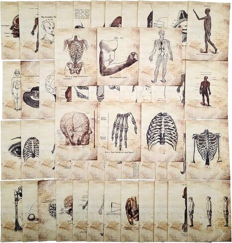 Vilikya Dark Academia Junk Journal Supplies, 54 Sheets Vintage Skull Scrapbook Paper for Scrapbook Kit, Hospital Theme Decoupage Paper for Room Decor Wall Collage Kit in Kuwait