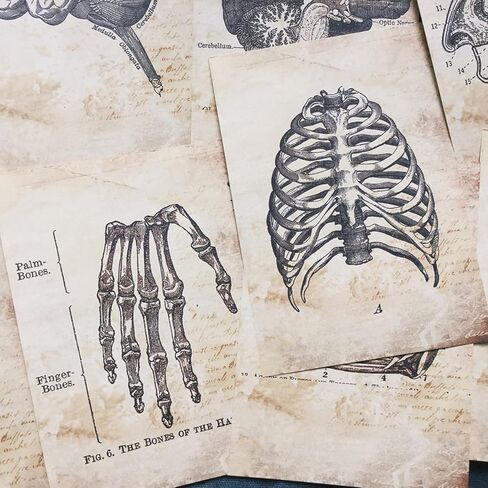 Vilikya Dark Academia Junk Journal Supplies, 54 Sheets Vintage Skull Scrapbook Paper for Scrapbook Kit, Hospital Theme Decoupage Paper for Room Decor Wall Collage Kit in Kuwait