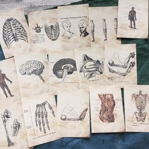 Vilikya Dark Academia Junk Journal Supplies, 54 Sheets Vintage Skull Scrapbook Paper for Scrapbook Kit, Hospital Theme Decoupage Paper for Room Decor Wall Collage Kit in Kuwait