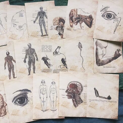 Vilikya Dark Academia Junk Journal Supplies, 54 Sheets Vintage Skull Scrapbook Paper for Scrapbook Kit, Hospital Theme Decoupage Paper for Room Decor Wall Collage Kit in Kuwait