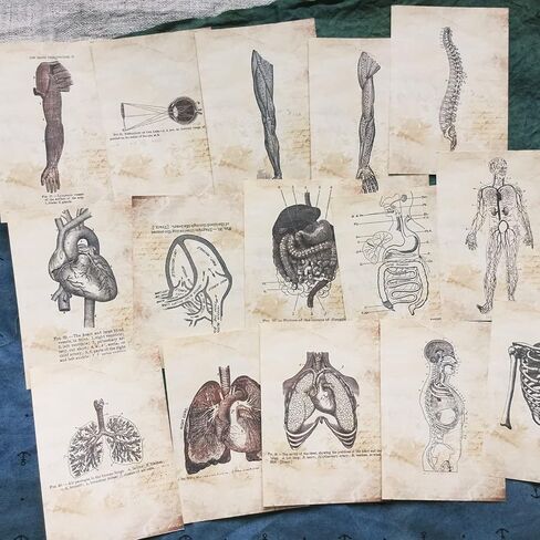 Vilikya Dark Academia Junk Journal Supplies, 54 Sheets Vintage Skull Scrapbook Paper for Scrapbook Kit, Hospital Theme Decoupage Paper for Room Decor Wall Collage Kit in Kuwait