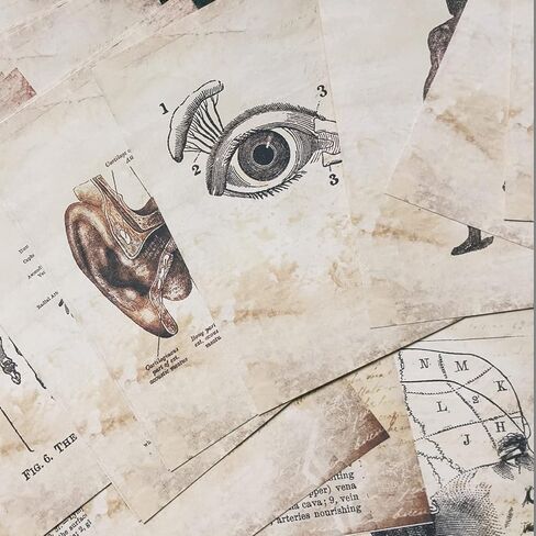 Vilikya Dark Academia Junk Journal Supplies, 54 Sheets Vintage Skull Scrapbook Paper for Scrapbook Kit, Hospital Theme Decoupage Paper for Room Decor Wall Collage Kit in Kuwait