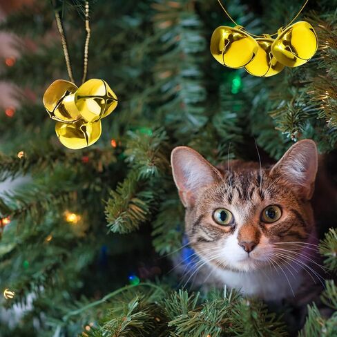 Jingle Bells for Crafts,1 Inch Large Jingle Bells Bulk, 50 Pcs Christmas Craft Bells for DIY Festival Home Wreath Christmas Party Decoration (red) in Kuwait