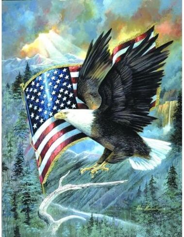 Sunsout American Eagle 500 Piece Jigsaw Puzzle in Kuwait