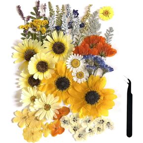 A4 Large Dried Pressed Flowers for Resin Real Dry Natural Flowers Leaves for Resin Mold Cake Candle Making Phone Cases Scrapbooking DIY Art Crafts (Fantasy Color)