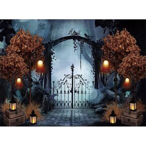 اكسيوكيسو مجموعة الرسم الماسي للبالغين، يمكنك تركيبها بنفسك بمثقاب دائري بالكامل للرسم الفني الماسي لحديثي الولادة بعمر 6 اشهر، كشك اكتمال القمر 12 × 16 انش in Kuwait