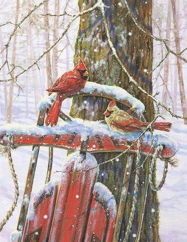 Springbok's 500 Piece Jigsaw Puzzle Peaceful Moments, Multi in Saudi Arabia