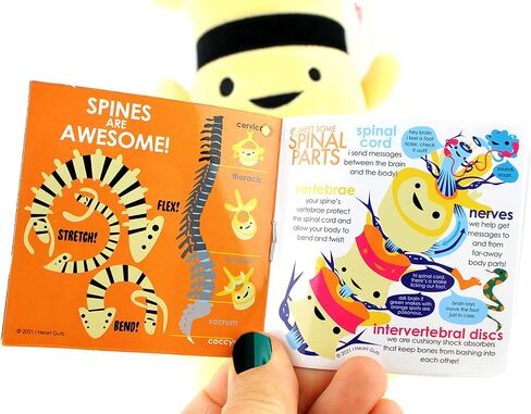 I Heart Guts Spine Plush - Got Your Back - Stuffed Flexible Backbone Vertebrae Pillow - Anatomy Toy Get Well Gifts for Spine Surgery, Spinal Cord Injury, Scoliosis, Orthopedic Doctors, & Chiropractors in Saudi Arabia