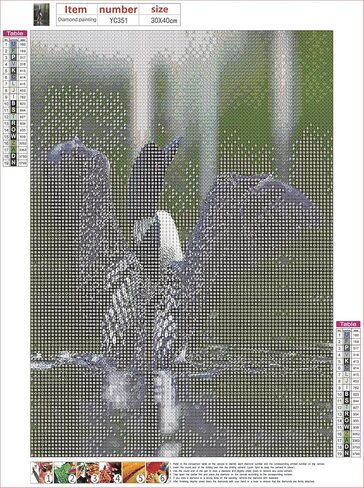 Loon 5D DIY Diamond Painting Kits, Real Image of a Common Loon Spreading Her Wings in The Morning Blurry Backgroundfor Home Wall Decor Full Drill Cross Stitch Gift 12"x16"Multicolor in Kuwait