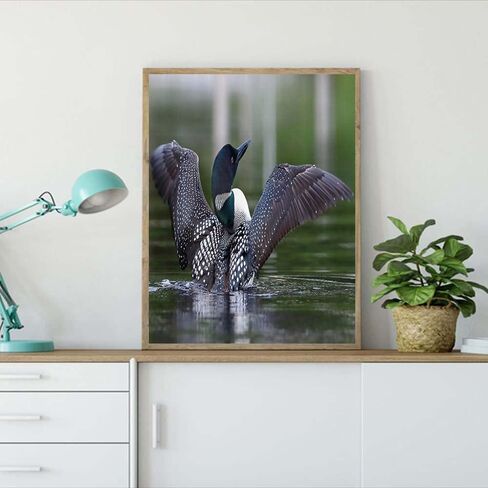 Loon 5D DIY Diamond Painting Kits, Real Image of a Common Loon Spreading Her Wings in The Morning Blurry Backgroundfor Home Wall Decor Full Drill Cross Stitch Gift 12"x16"Multicolor in Kuwait
