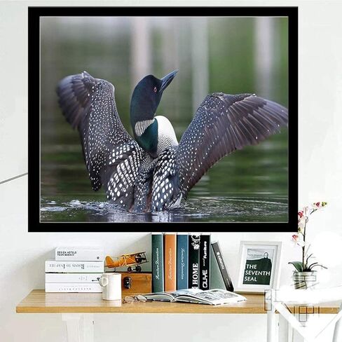 Loon 5D DIY Diamond Painting Kits, Real Image of a Common Loon Spreading Her Wings in The Morning Blurry Backgroundfor Home Wall Decor Full Drill Cross Stitch Gift 12"x16"Multicolor in Kuwait