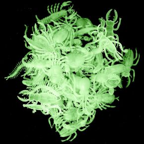 Glow in the Dark Insects - 144 Pieces - Party Favor and Prank Toys - Assorted Reptiles and Bugs Toys – Great for Halloween, Birthday Parties, Piñatas, Prizes and More - by Skeleteen in Saudi Arabia
