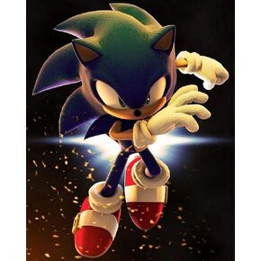 5D DIY Diamond Painting Sonic 16x20 بوصة جولة حفر حجر الراين التطريز لتزيين الجدران in Kuwait