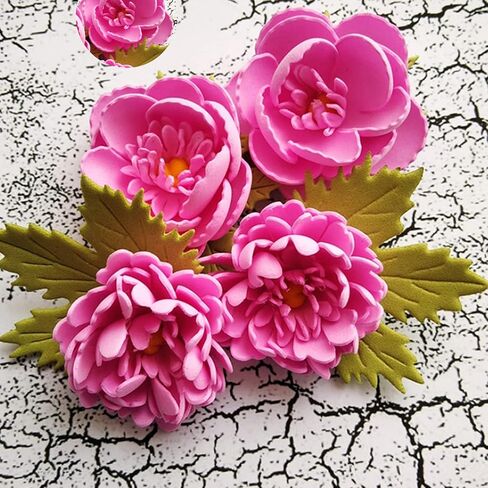 3 قطع من قوالب القطع المعدنية على شكل زهور الورد، قطع قوالب قطع أوراق زهرة الربيع والفراشة، استنسل DIY لعمل قصاصات الورق المزخرفة وصنع بطاقات القصاصات in Kuwait