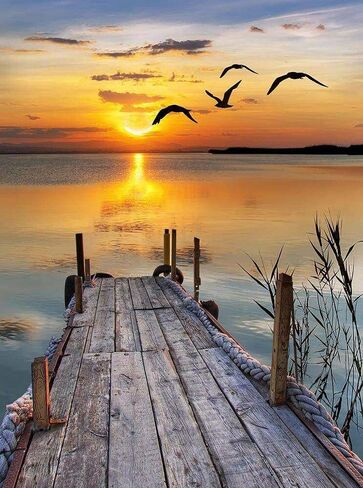 300 Piece Jigsaw Puzzle for Adults Kids Teens,Challenge Yourself with 300 Piece Puzzles, and Unique Decoration for Your Friends (A-Wooden Bridge) in Kuwait