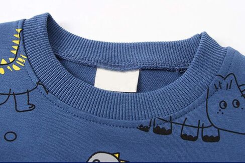Toddler Baby Boy Clothing Sets Little Dinosaur Printed Long Sleeve Tops and Pants Kids 2pcs Outfits in Saudi Arabia