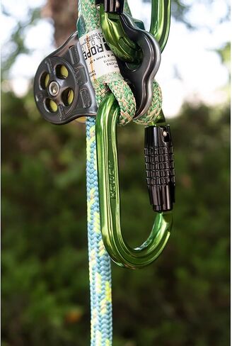 Notch Absolute Oval Aluminum Carabiner (54441) in Kuwait