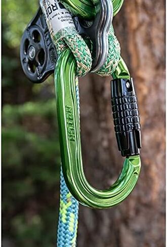 Notch Absolute Oval Aluminum Carabiner (54441) in Kuwait