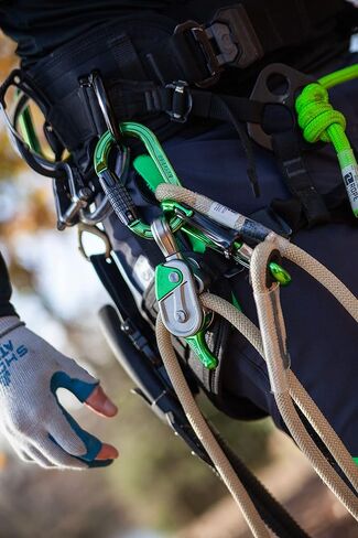 Notch Absolute Oval Aluminum Carabiner (54441) in Kuwait