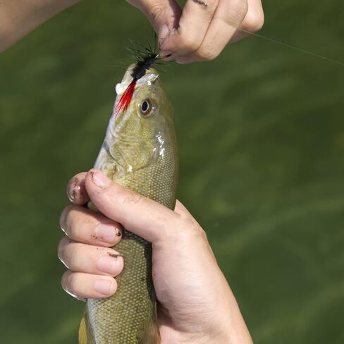 Fly Fishing Poppers, Topwater Fishing Lures Bass Crappie Bluegill Sunfish Panfish Trout Salmon Perch Steelhead Flies for Fly Fishing Bass Panfish Bluegill Trout Salmon in Saudi Arabia