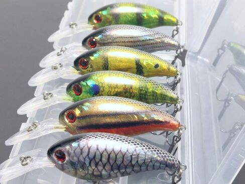 أسماك البلمة Crankbait لصيد الأسماك باس، طعم الصيد Jerkbait وصندوق الأدوات in Kuwait