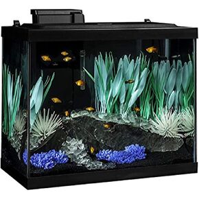 مجموعة خزان الأسماك Tetra ColorFusion سعة 20 جالون، تتضمن إضاءة LED وديكور in Kuwait
