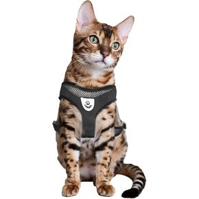 Black Cat Harness and Leash Set, Soft Mesh Adjustable Reflective, Size S in Saudi Arabia