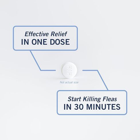 PetArmor CAPACTION (nitenpyram) علاج البراغيث عن طريق الفم للقطط، أقراص سريعة المفعول تبدأ في قتل البراغيث في 30 دقيقة، القطط 2-25 رطل، 6 جرعات in Kuwait