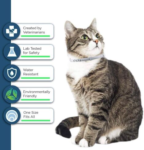 Flea and Tick Collar for Cats - Offers 12-Month Protection, Crafted with Premium Plant Oils, Waterproof, Natural, Safe for Kittens, Includes Free Comb and Tweezers, 13.8 in (2 Packs) in Saudi Arabia