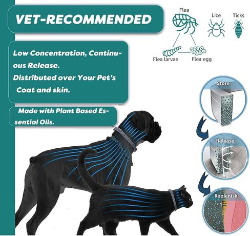 Flea and Tick Collar for Cats - Offers 12-Month Protection, Crafted with Premium Plant Oils, Waterproof, Natural, Safe for Kittens, Includes Free Comb and Tweezers, 13.8 in (2 Packs) in Saudi Arabia