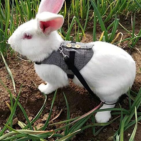 Hypeety Multipurpose Rabbit Vest Harness and Leash Set Adjustable Vest, S in Kuwait