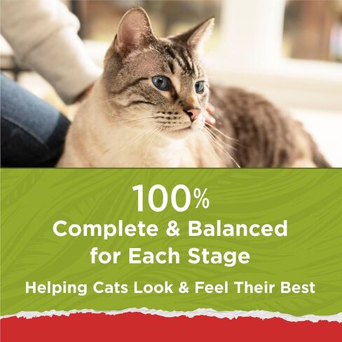 Purina Cat Chow Naturals Original With Real Chicken & Salmon Adult Dry Cat Food in Kuwait