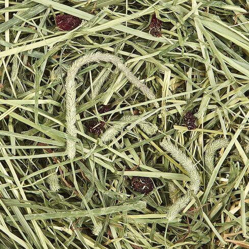 Kaytee All Natural Timothy Hay Plus Carrots for Guinea Pig & Rabbit in Saudi Arabia