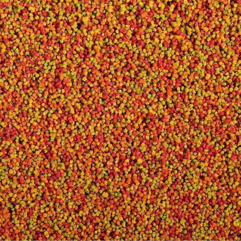 ZuPreem 230361 طعام الطيور في قفص نباتي متوسط ​​وكبير، 3.25 رطل in Kuwait