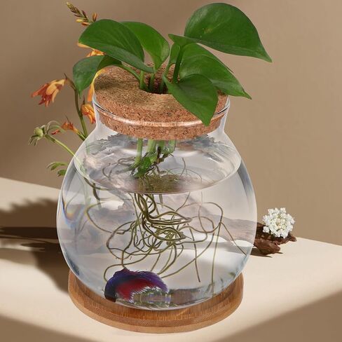 بالاكو حوض سمك زجاجي صغير لسطح المكتب مع وسادة من الخيزران لتزيين المنزل والمكتب in Kuwait