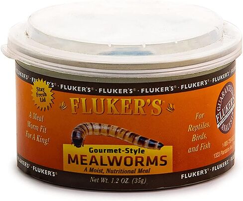 Fluker's Gourmet Canned Food for Reptiles, Fish, Birds and Small Animals - Grass Hoppers 1.2 Ounce (Pack of 1) in Kuwait