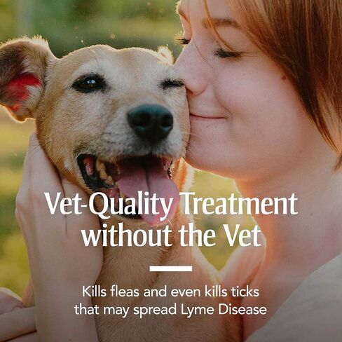 PetArmor Plus Flea & Tick Collar for Dogs, Kills Fleas & Ticks, Long Lasting Protection for 6 Months, Water Resistant, One Size Fits All, 1 Collar in Kuwait