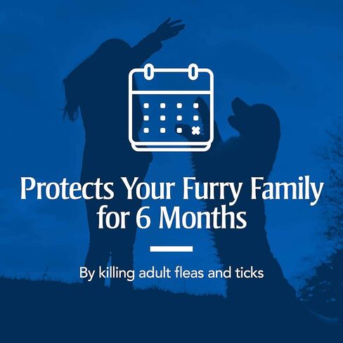 PetArmor Plus Flea & Tick Collar for Dogs, Kills Fleas & Ticks, Long Lasting Protection for 6 Months, Water Resistant, One Size Fits All, 1 Collar in Kuwait