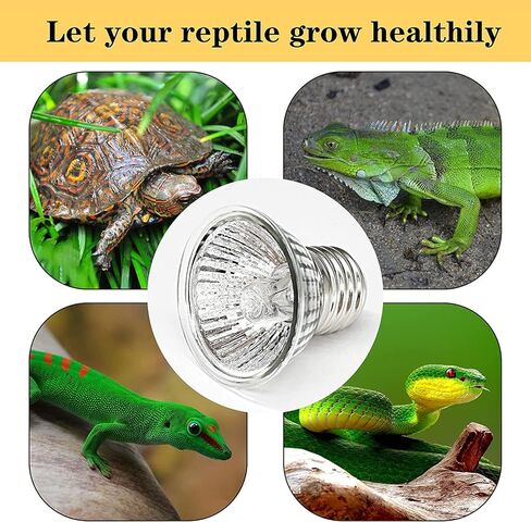 Turtle Heat Lamp Tortoise Bulb: 4-Pack 50W UVB Reptile Heating Bulb for Lizards, Snakes, Aquarium Aquatic Reptile Amphibian - Terrarium Heat Lamps and Habitat Lighting for Pet Supplies in Kuwait