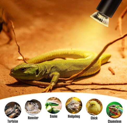 Turtle Heat Lamp Tortoise Bulb: 4-Pack 50W UVB Reptile Heating Bulb for Lizards, Snakes, Aquarium Aquatic Reptile Amphibian - Terrarium Heat Lamps and Habitat Lighting for Pet Supplies in Kuwait