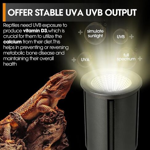 GeeKoit Premium UVB ضوء الزواحف كامل الطيف لاستقلاب الكالسيوم الأمثل، الصحراء 10.0 لمبة 3W UVA UVB مثالية للزواحف التي تعيش في الصحراء والسلاحف التنين الملتحية in Kuwait