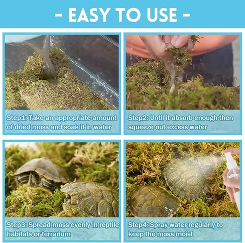 Riare 2.6LB قسط الطحالب الطحالب للزواحف- 10QT الطبيعية الحية الطحلب الزواحف الطحالب الفراش ل Terrarium، الفقس، غابة الطحالب الطحالب الزواحف الركيزة للثعابين، أبو بريص، السلاحف، الضفادع، ليوبارد in Kuwait