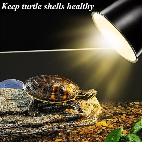 RUNANIA Turtle Basking Platform, Reptile Tank Accessories Turtle Dock Basking Area for Gecko Amphibians Frogs Newts Lizard in Kuwait