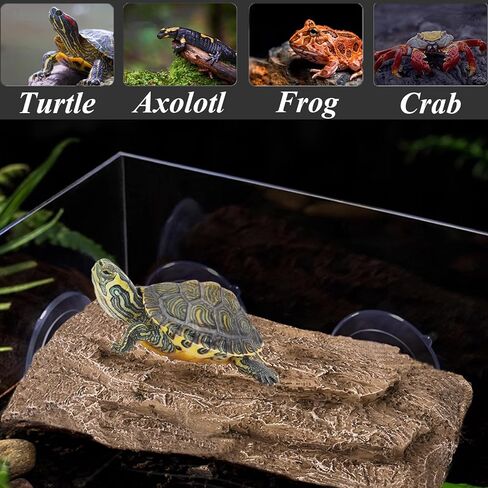 RUNANIA Turtle Basking Platform, Reptile Tank Accessories Turtle Dock Basking Area for Gecko Amphibians Frogs Newts Lizard in Kuwait